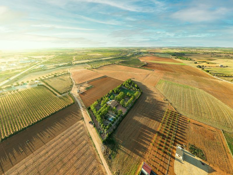 Aereas - La Finca de Tomas 1