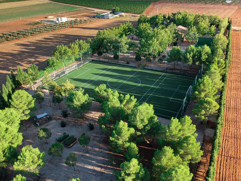 Aereas - La Finca de Tomas 4