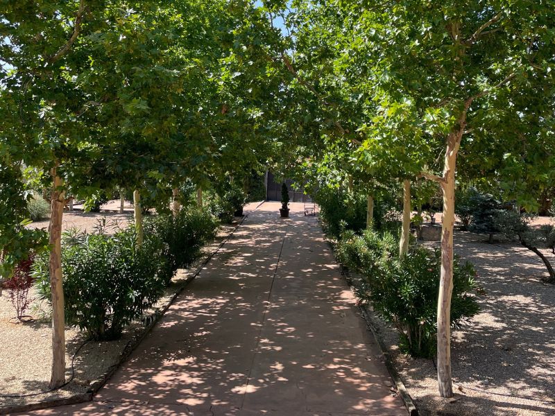 Jardines - La Finca de Tomas3