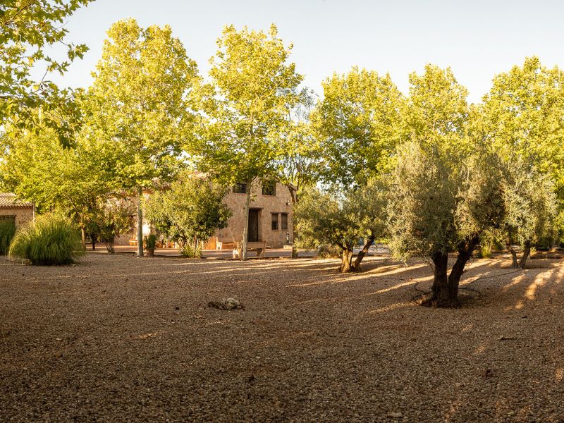 Jardines - La Finca de Tomas5