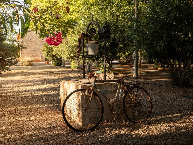 Jardines - La Finca de Tomas6