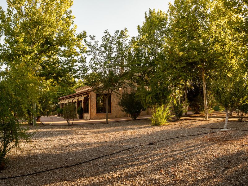 Jardines - La Finca de Tomas7